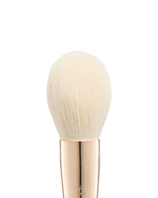 POWDER brush
