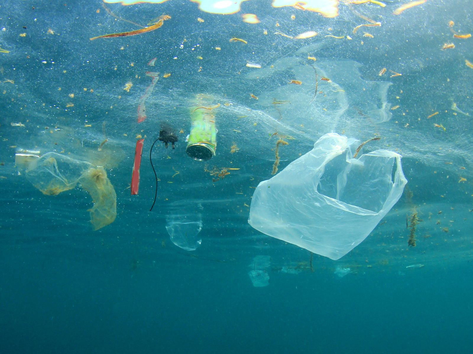 Oceaniczne wyspy śmieci powodowane jednorazwym użyciem plastiku
