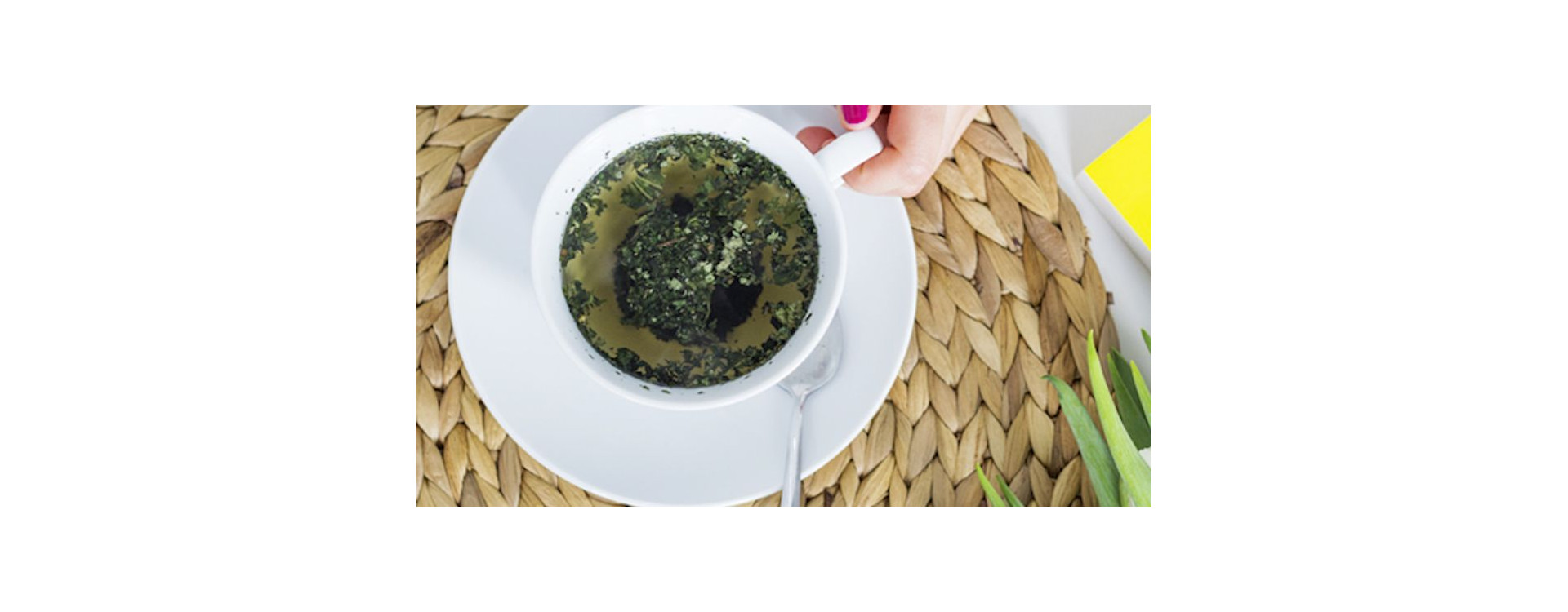 Ziołowe herbaty dla zdrowia i urody