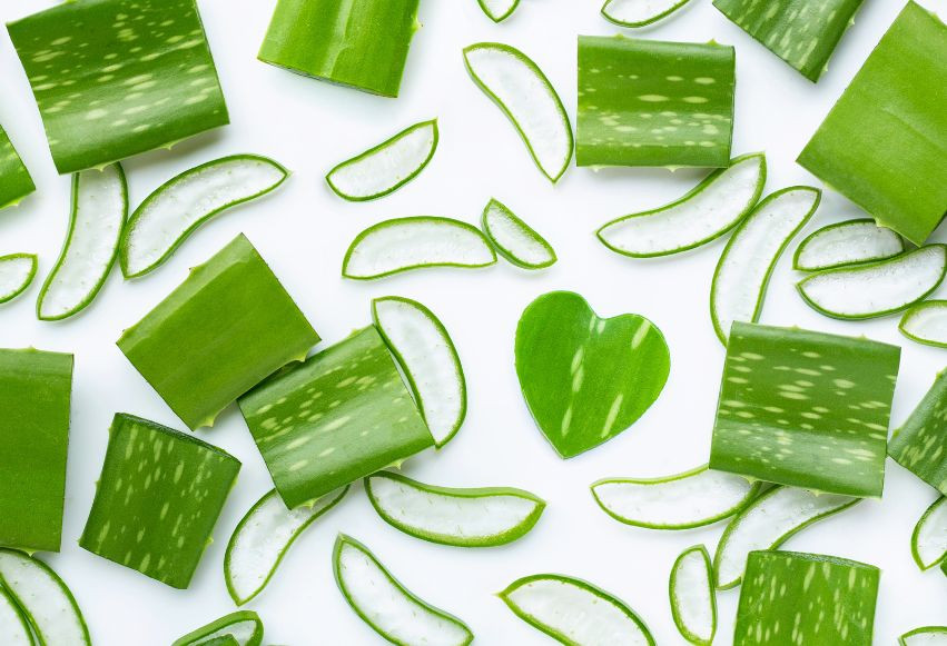 Aloes w pielęgnacji