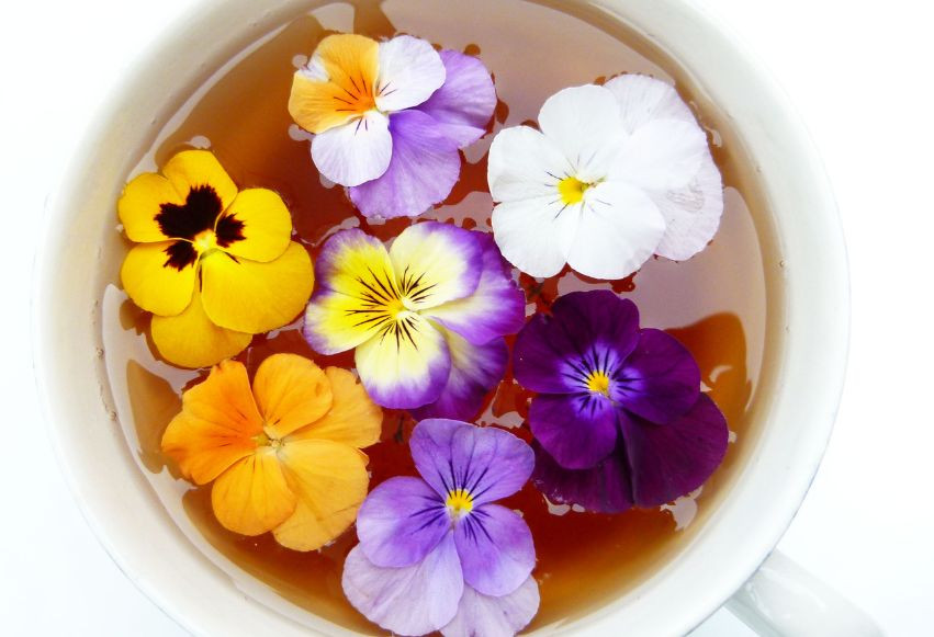 Produkty spożywcze niezbędne w leczeniu trądziku